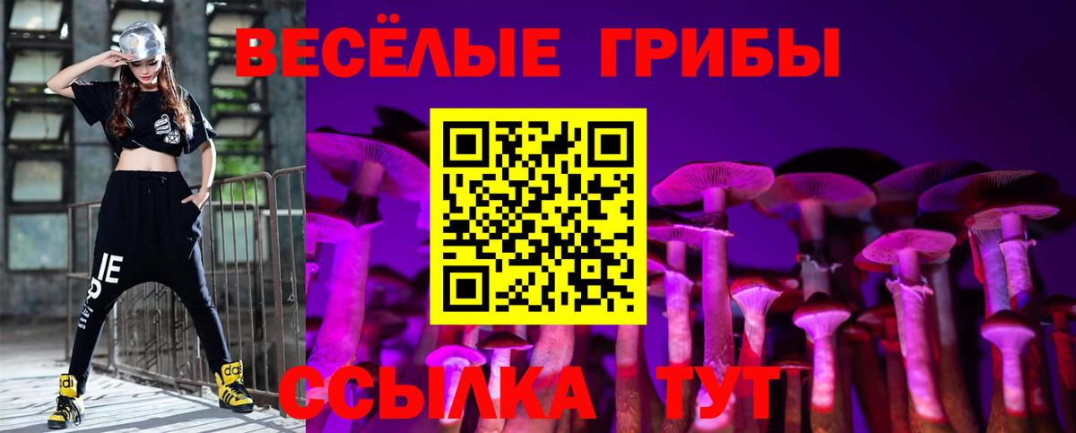 Псилоцибиновые грибы MAGIC MUSHROOMS Чехов